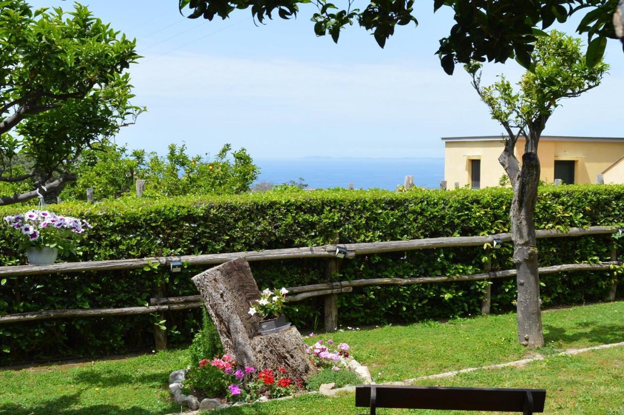 Sara'S Sweet Corner Bed & Breakfast Meta Luaran gambar